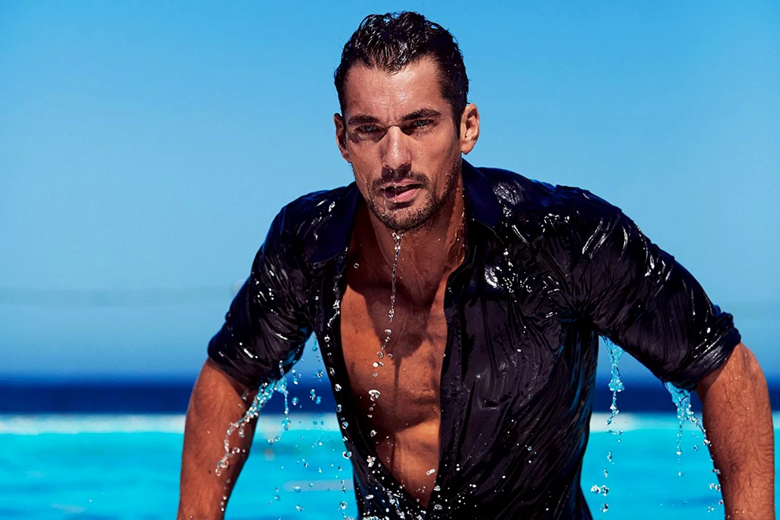 gandy jpeg