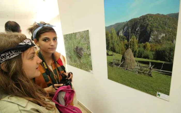 Hunedorenii sunt invitaţi într-o incursiune foto, pe meleagurile Parcului Natural Grădiştea Muncelului. FOTO: Daniel Guţă. ADEVĂRUL.