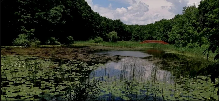 Lacul de la Ipotești