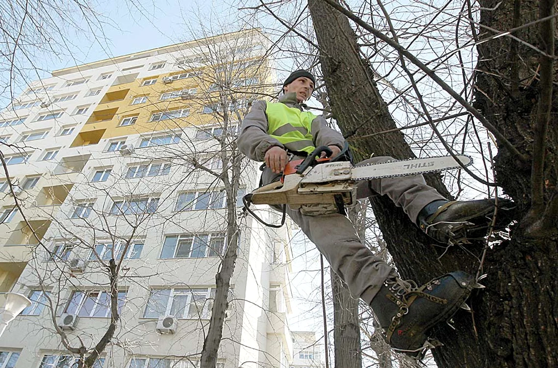 
    Click! îţi spune cum eşti despăgubit pentru avariile cauzate de vijelii dacă nu ai CASCO  