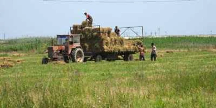 Bibliotecari instruiţi în agricultură