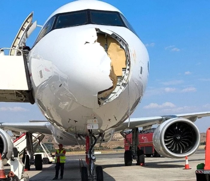 Avionul a rămas fără bot după ciocnirea cu un vultur FOTO: X