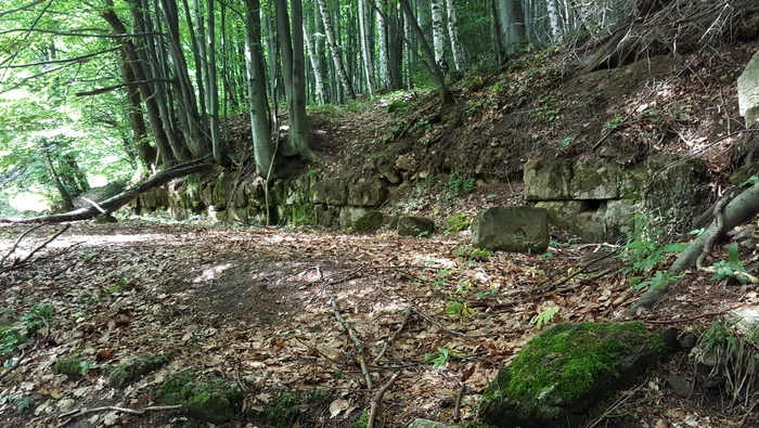 Cetatea dacică Fețele Albe este astăzi de nerecunoscut / foto: adevarul.ro