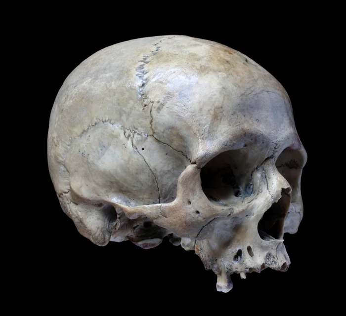 Femeile erau victimele actelor de brutalitate în Epoca de Piatră FOTO Shutterstock