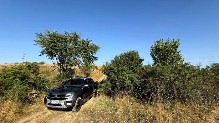 De încredere chiar și pe macadam. FOTO: Adevărul