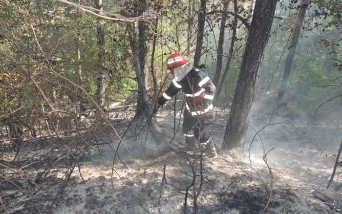 pietrosita incendiu