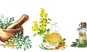 Cum combati parazitii intestinali cu ajutorul plantelor  Sursa foto shutterstock 1818981950 442530004 2142258297 jpg