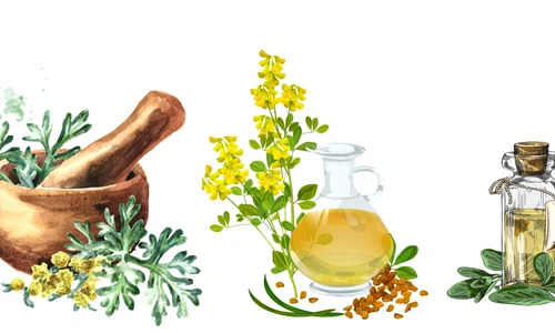 Cum combati parazitii intestinali cu ajutorul plantelor Sursa foto shutterstock 1818981950 442530004 2142258297 jpg