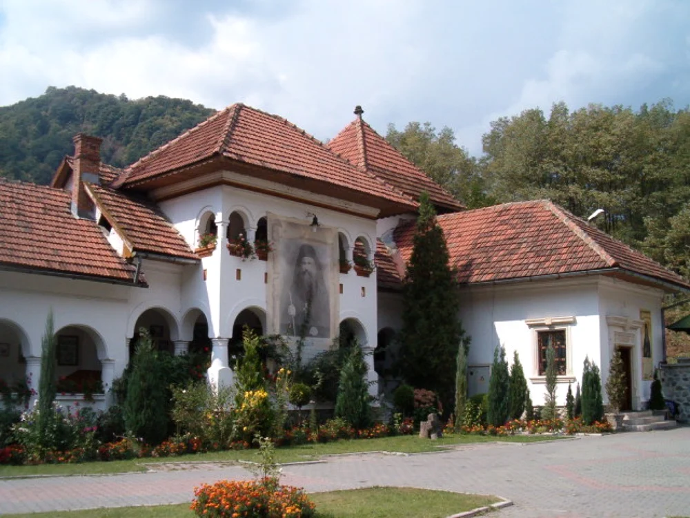 valea jiului