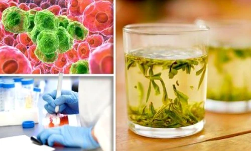 ceai ceai de papadie cancer 39090400 jpeg