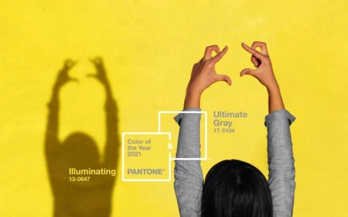 
    Pantone a ales două culori pentru 2021FOTO: Pantone Color Institute, TIME Magazine  