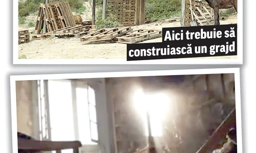 14ghkuikjl jpeg