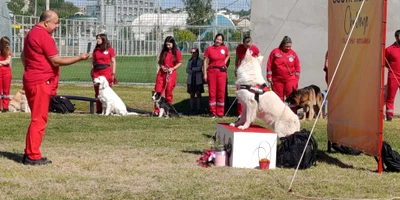 circuit canin slatina 2 4 octombrie 2026   foto alina mitran (1) jpeg