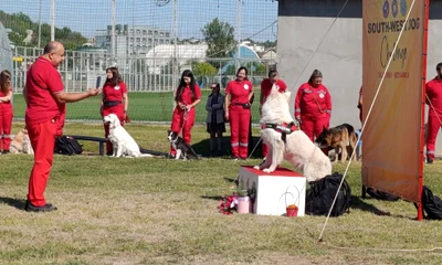 circuit canin slatina 2 4 octombrie 2026   foto alina mitran (1) jpeg