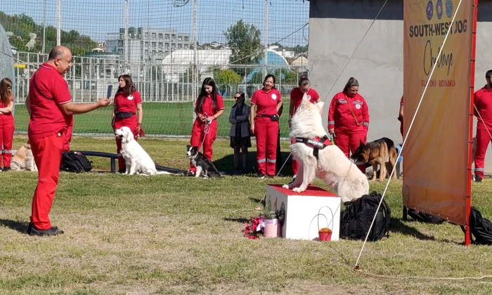 circuit canin slatina 2 4 octombrie 2026 foto alina mitran (1) jpeg