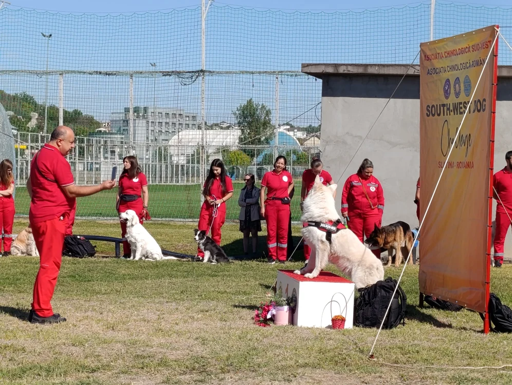 demonstratie_cu_caini_de_cautare