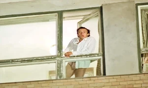 14 foto 1 6 col malaimare jpeg