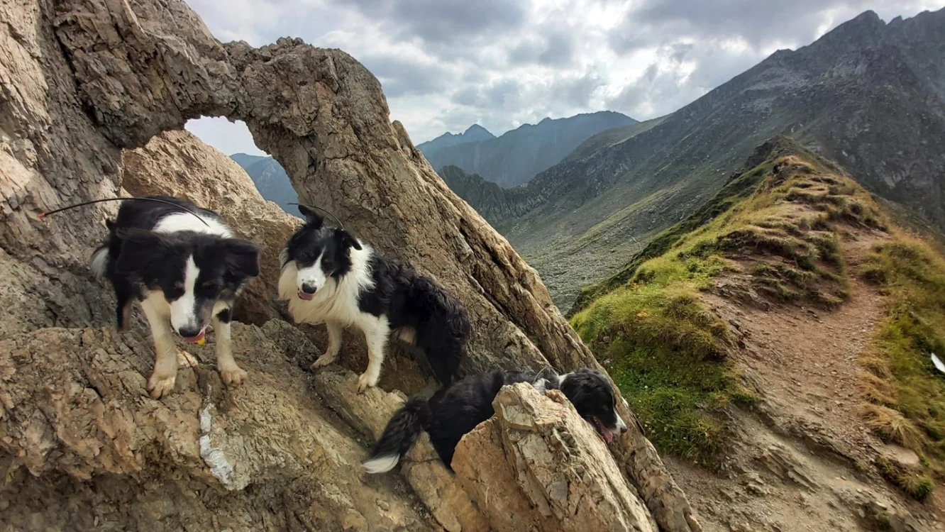 Fereastra Zmeilor atrage şi câinii pregătiţi special pentru intervenţii la avalanşe FOTO: Salvamont Argeş