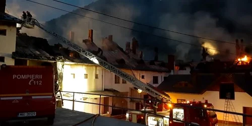 foc ramet alba