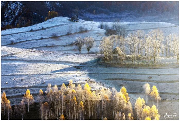 Dumești. Foto: Marius Turc.