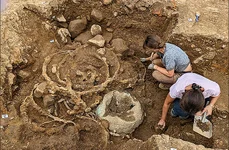Roțile de fier, la scurt timp după ce au fost descoperite (© Universitatea Durham)