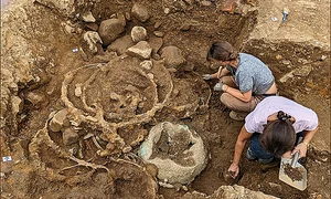 Roțile de fier, la scurt timp după ce au fost descoperite (© Universitatea Durham)