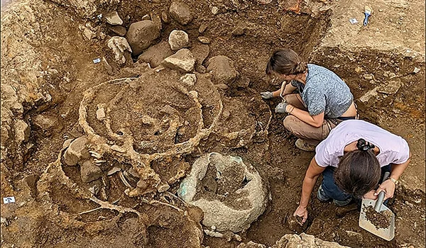 Roțile de fier, la scurt timp după ce au fost descoperite (© Universitatea Durham)