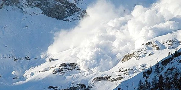 avalansa jpeg