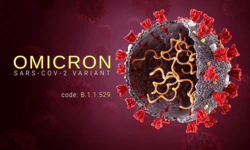 1 shutterstock 2082591496 jpg jpeg