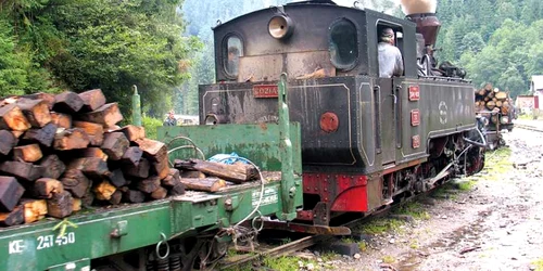 Traseul vechii mocăniţe are ca scop atragerea de turişti la Sarmisegetusa Regia