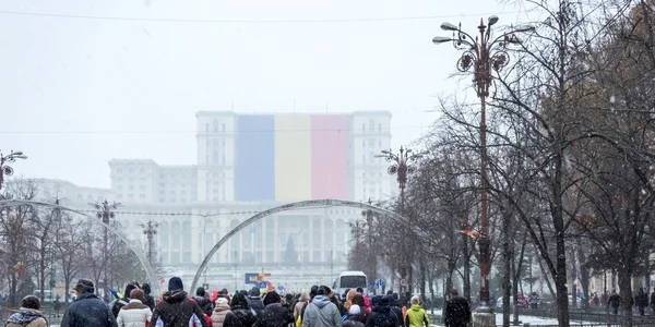 reusite romanesti foto razvan baltaretu/adevarul