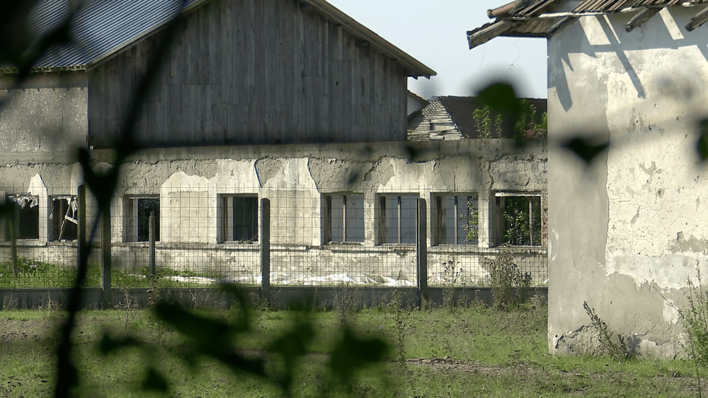 „Ferma partidului“ din Buzău de unde mânca sănătos pentru Nicu Ceaușescu, când învăța să piloteze avioane la Boboc