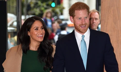 1 profimedia 0476964891 1 jpg jpeg