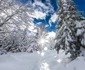 Retezatul Mic Foto Marius Turc 1 jpg