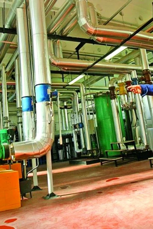 
    Cucuveaua Ollie poate să zboare din nou  după ce a făcut două luni acupunctură Foto: AFP  