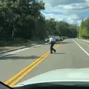 testoasa gif gif