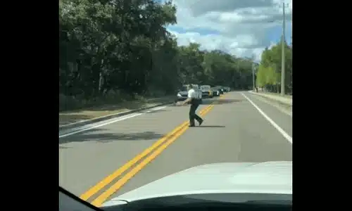 testoasa gif gif
