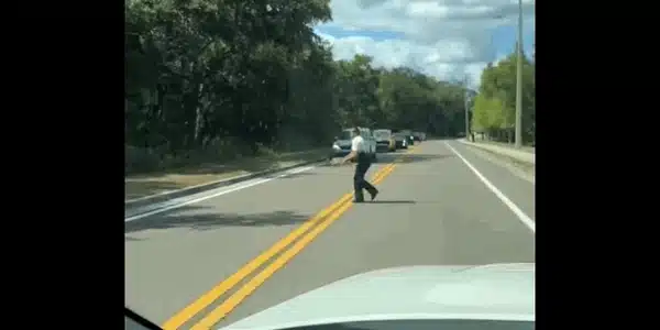 testoasa gif gif