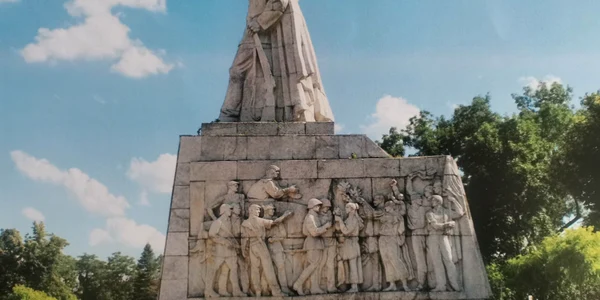 Dezbatere monumentul din parcul Central FOTO Ștefan Both