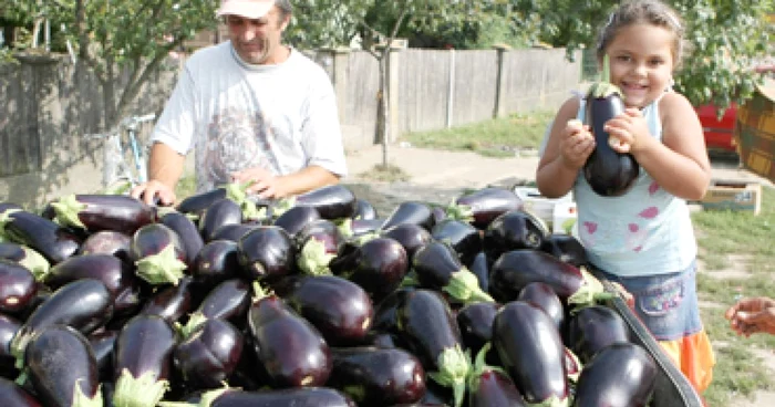 Slatina: Legumele olteneşti vândute la marginea drumului