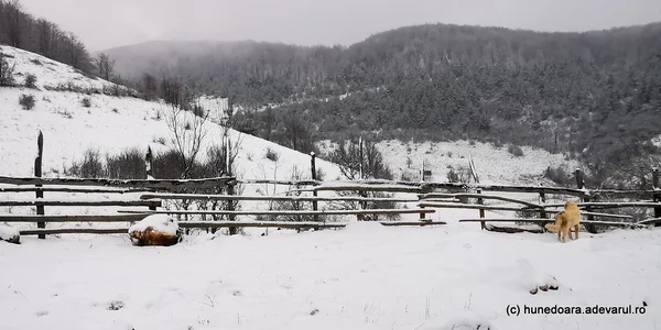 Iarna in Ponorici  Foto Daniel Guță  ADEVĂRUL (20) jpg