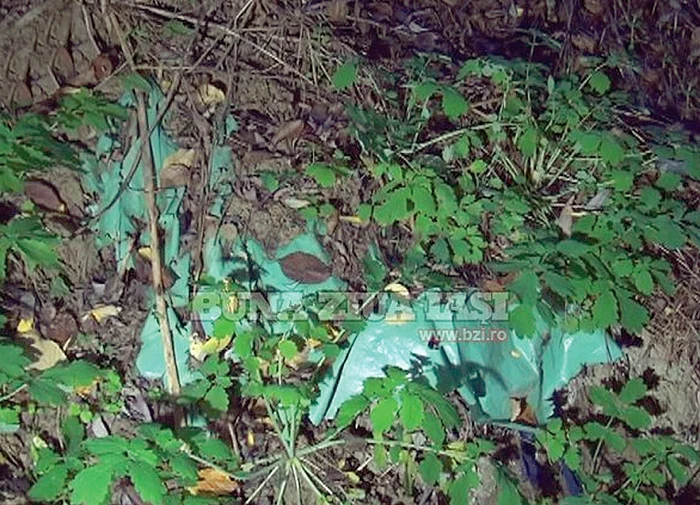 Un sătean l-a găsit pe Alexandru într-o râpă, băgat în sac