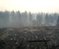 California distrusă de incendii. FOTO Guliver-Gettyimages