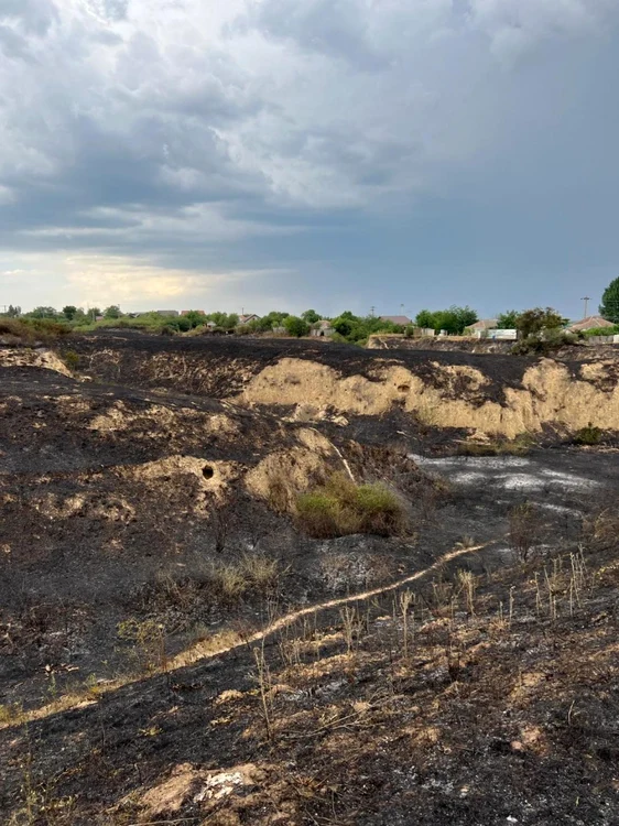 Flăcările au pârjolit 100 de hectare de teren FOTO ISU Ialomiţa