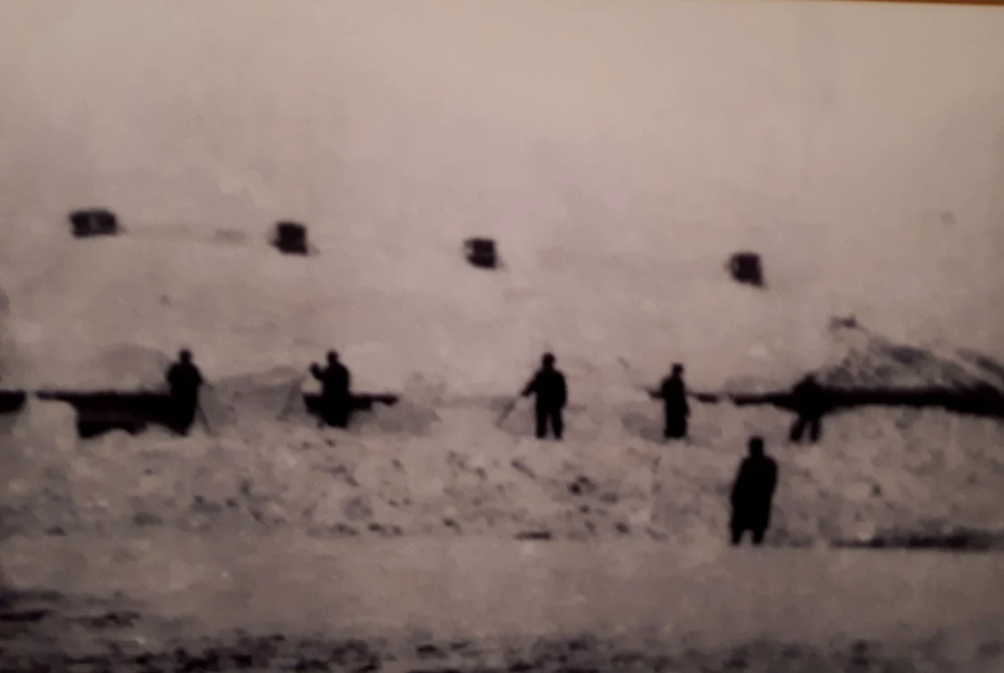 calarasi deportati foto memorialul sighet