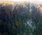 Drumul spre peștera din Valea Rea Foto Daniel Guță (5) JPG