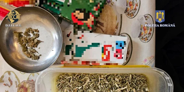 diicotpiatrantu jpeg
