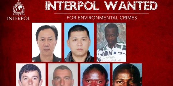 fugari interpol