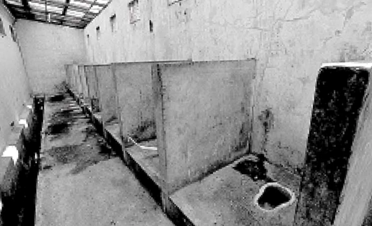 WC-urile sunt adevărate  focare de infecţie