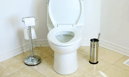 bathroom toilet 17475 600x450 jpeg